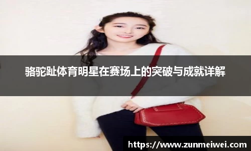 雷竞技