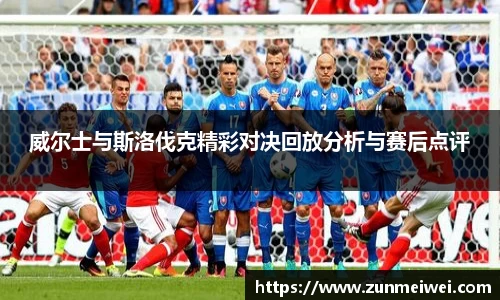 威尔士与斯洛伐克精彩对决回放分析与赛后点评