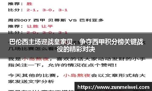 巴伦西主场迎战皇家贝，争夺西甲积分榜关键战役的精彩对决
